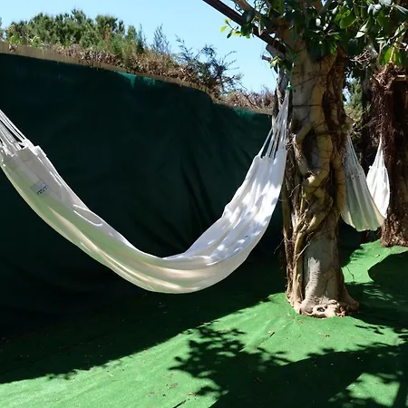 Noa Будинок відпочинку Торрев'єха