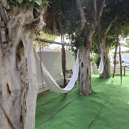 Noa * Torrevieja